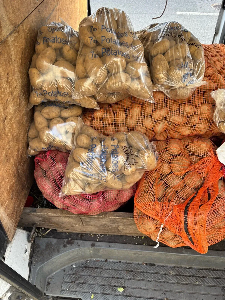 Certified seeds potatoes