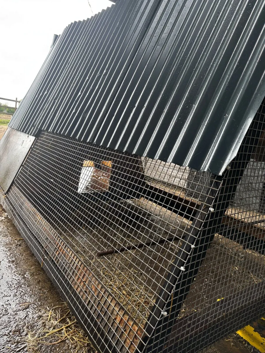 Chicken Coop - Image 2