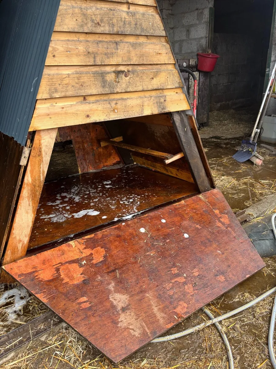 Chicken Coop - Image 3