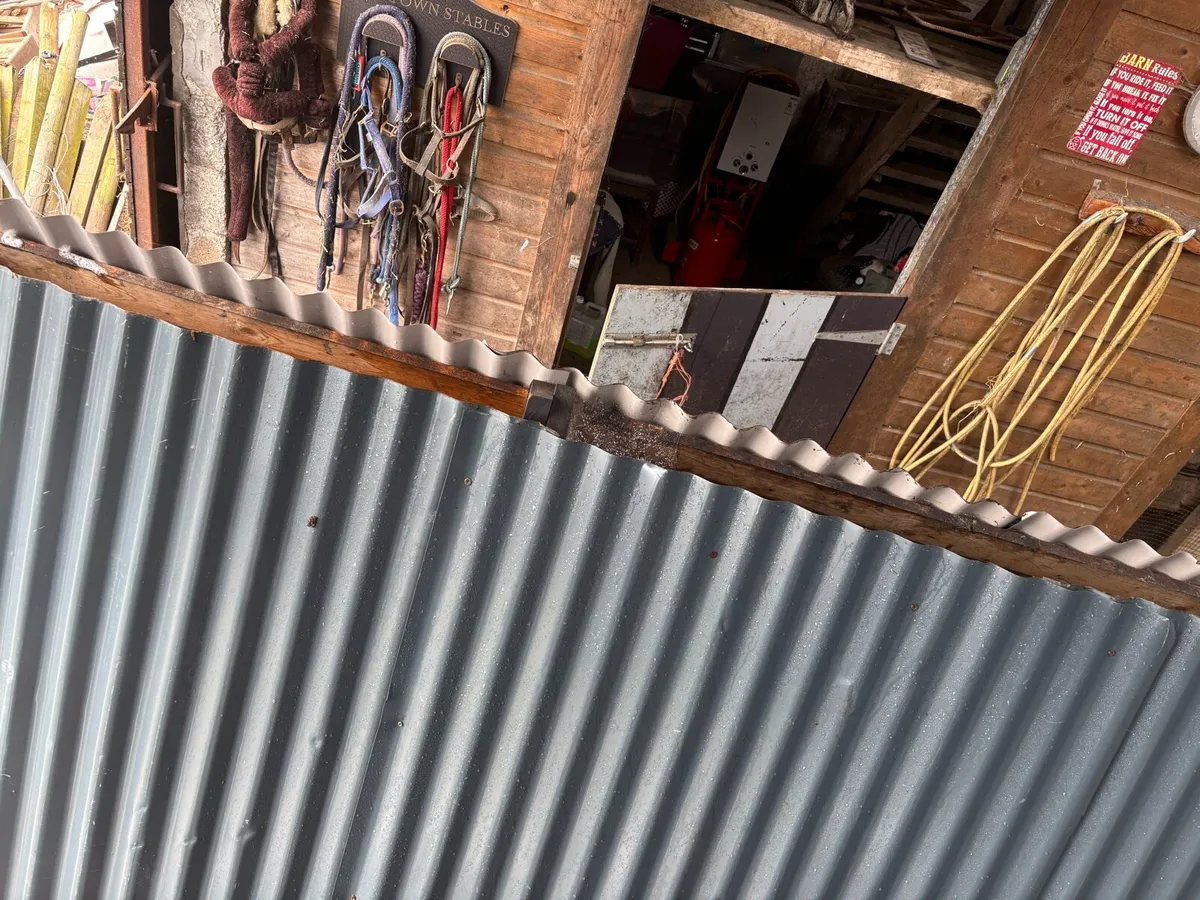 Chicken Coop - Image 4