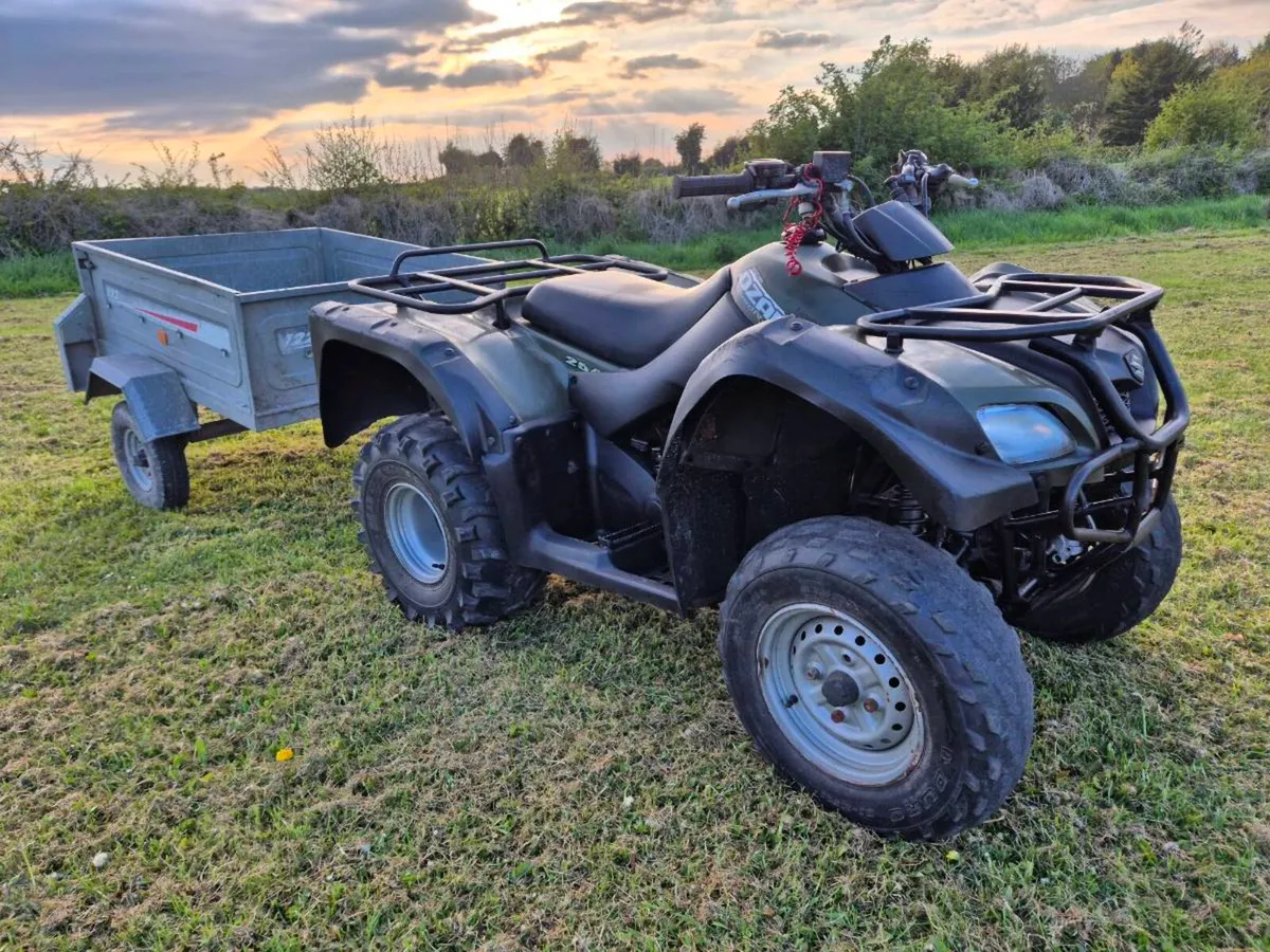 2018 Suzuki Ozark 250 - Image 1