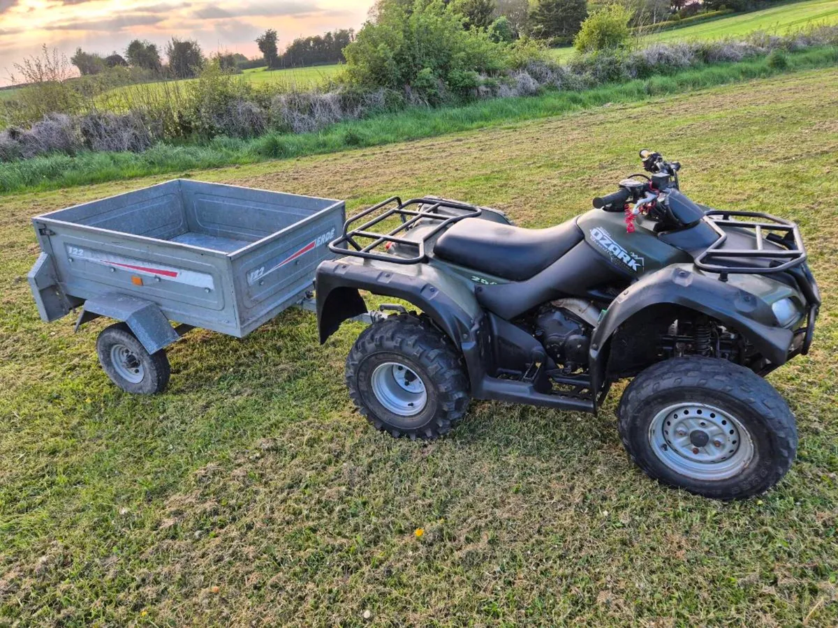 2018 Suzuki Ozark 250 - Image 2