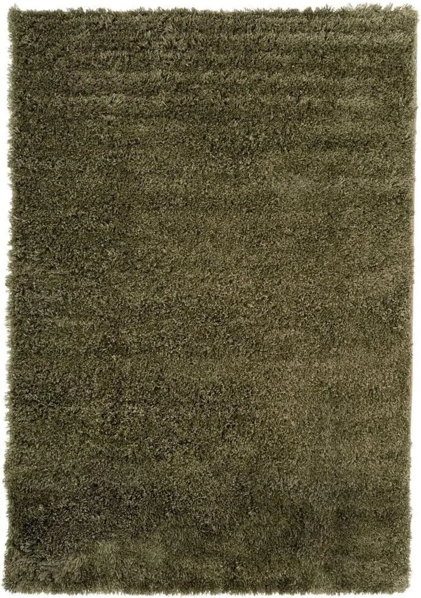 Large Modern Dark Green Living Room Area Rug - Image 1