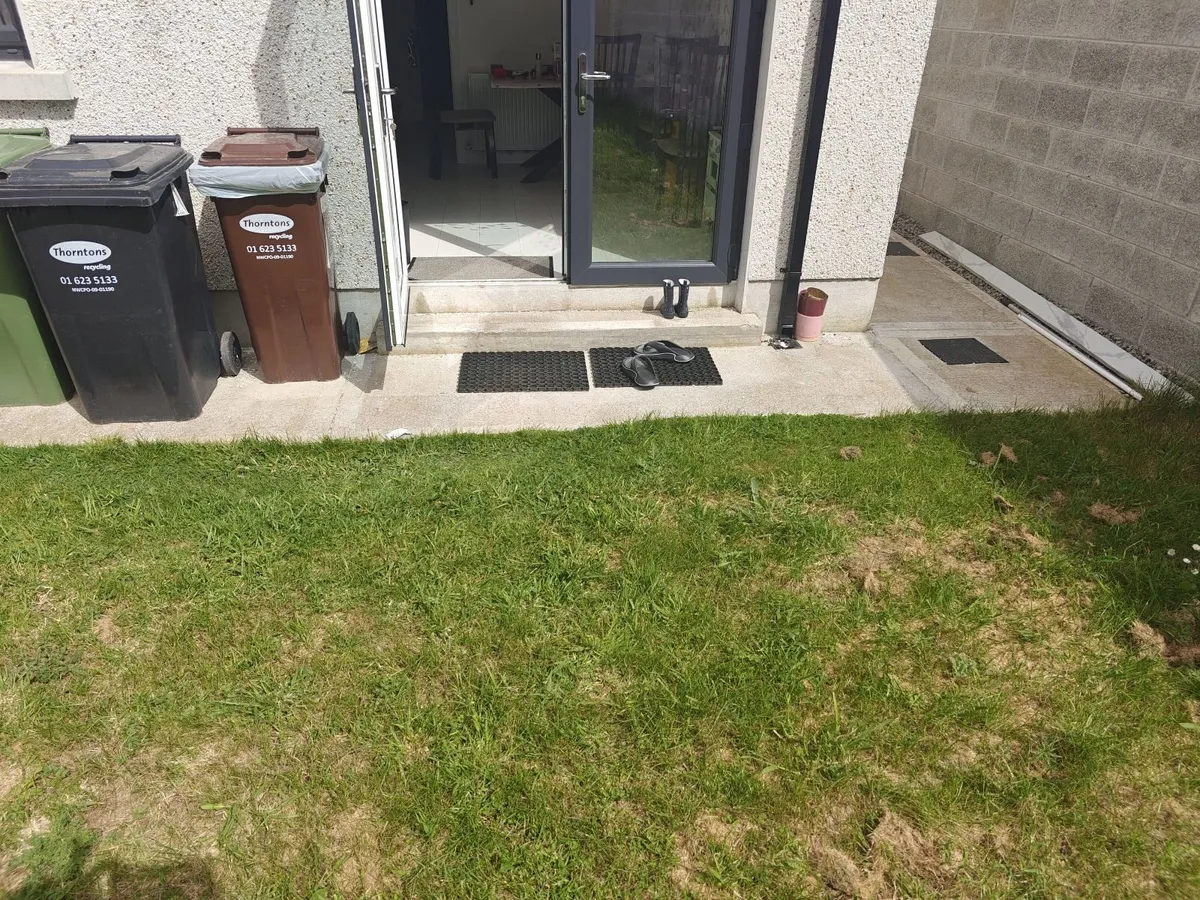 Kookaburra Cricket bat - Image 2