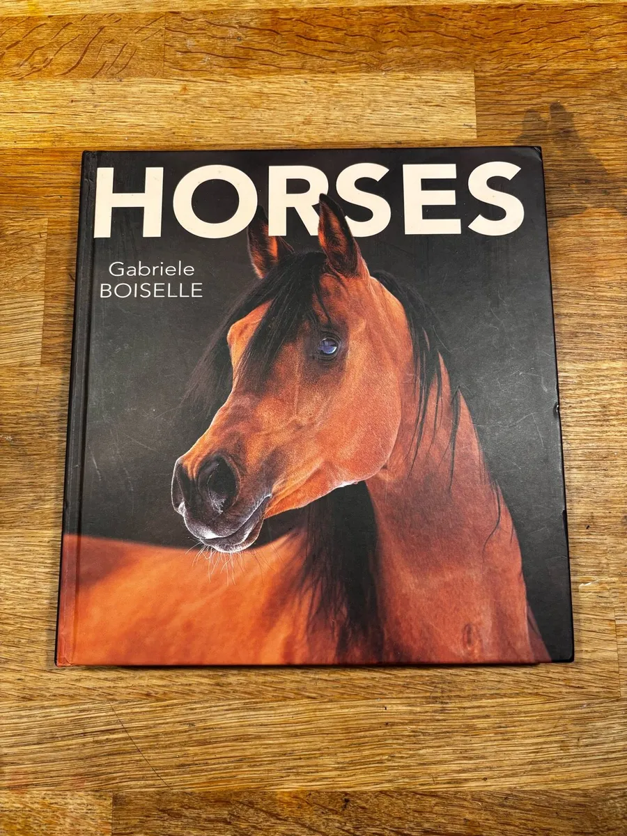Horse Book - Image 1