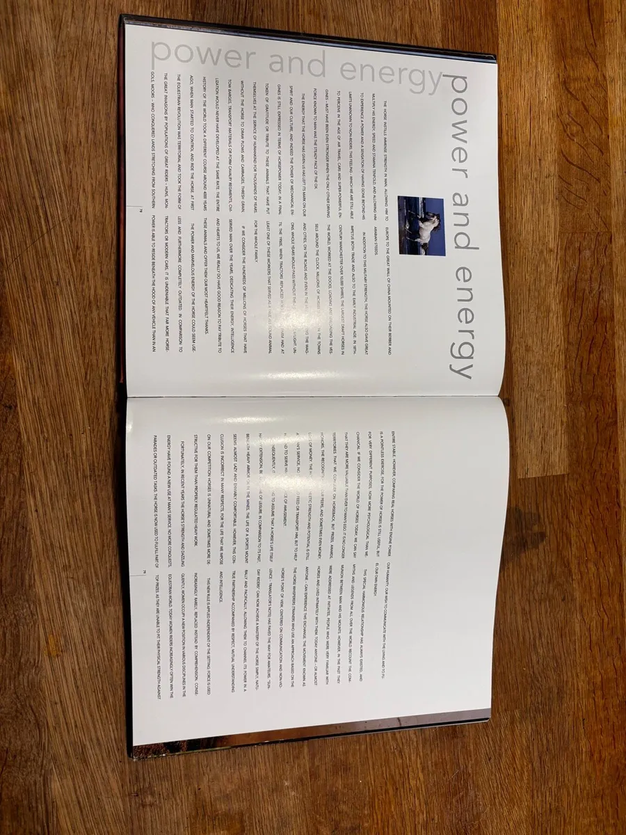 Horse Book - Image 4