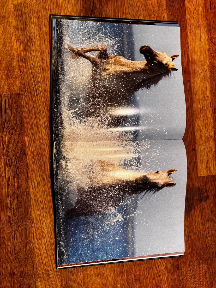 Horse Book - Image 3