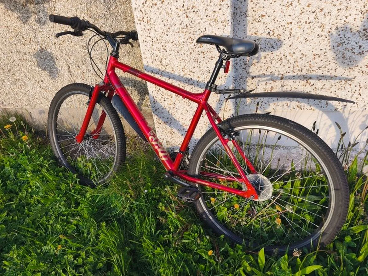Apollo transition bike - Image 1