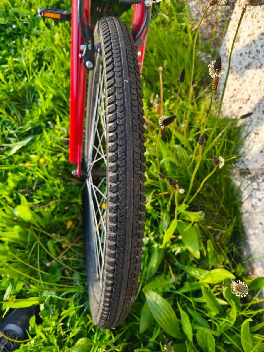 Apollo transition bike - Image 3