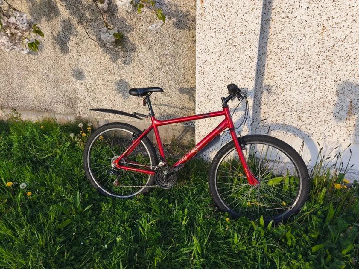 Apollo transition bike - Image 4