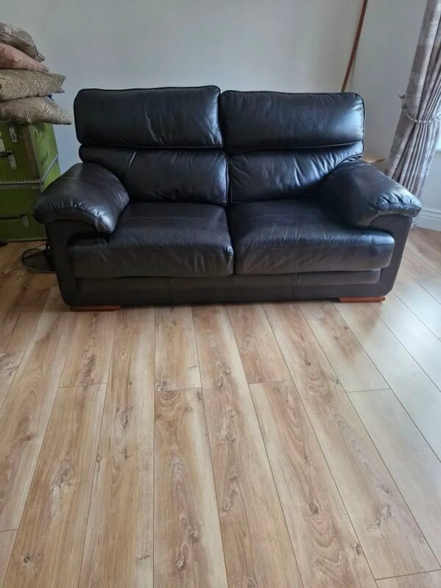 Leather Two Seater - Image 2