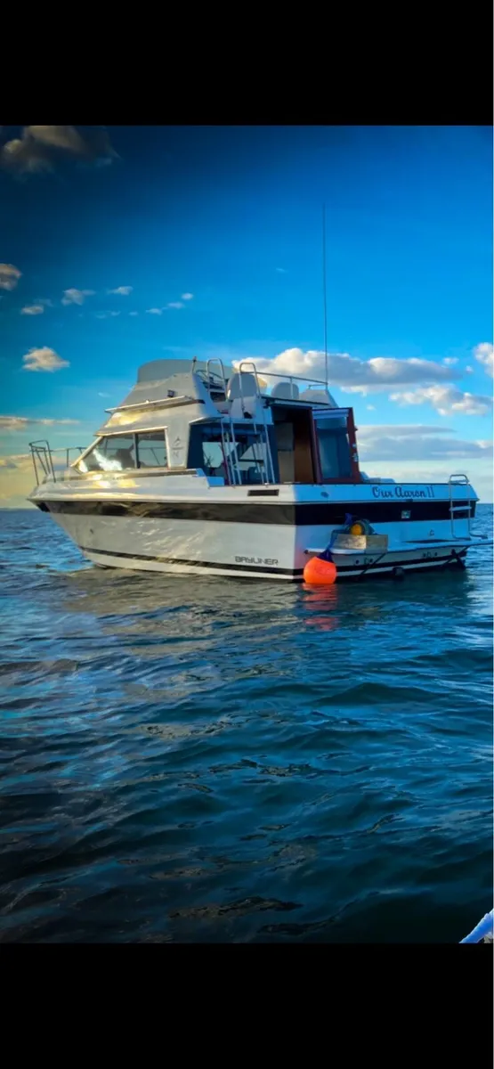 Bayliner 2556 flybridge - Image 1