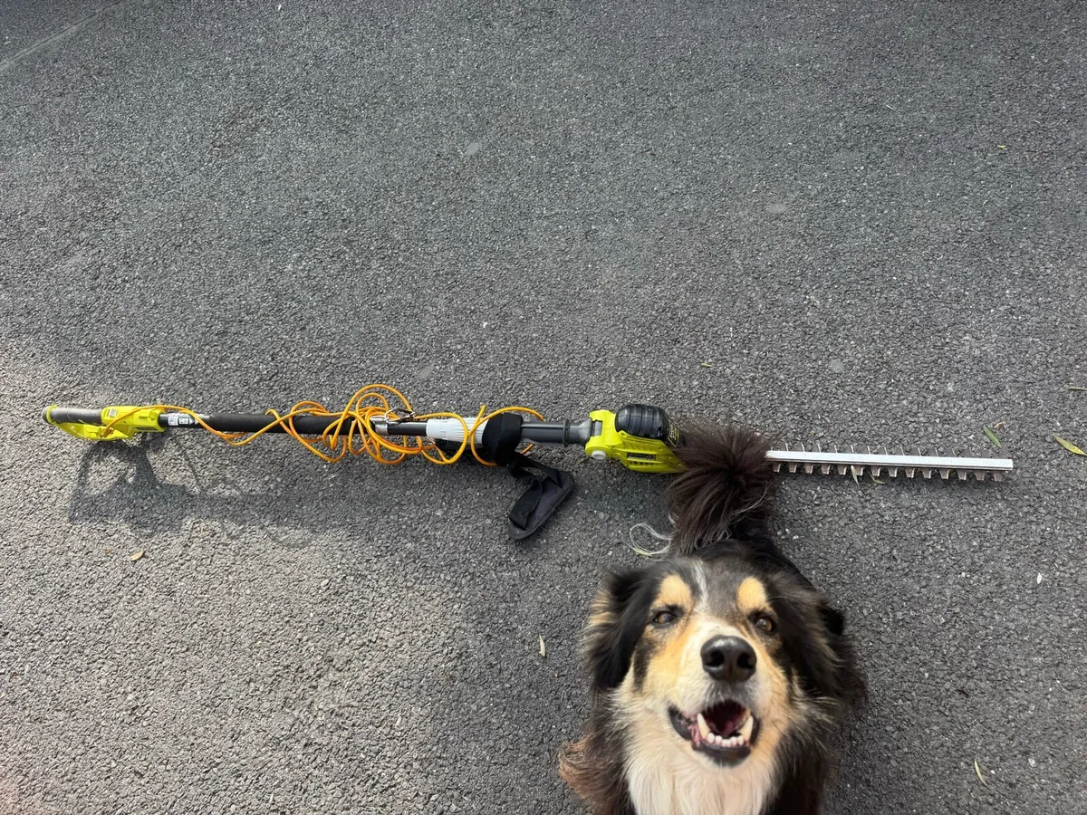 Ryobi hedge trimmer - Image 2