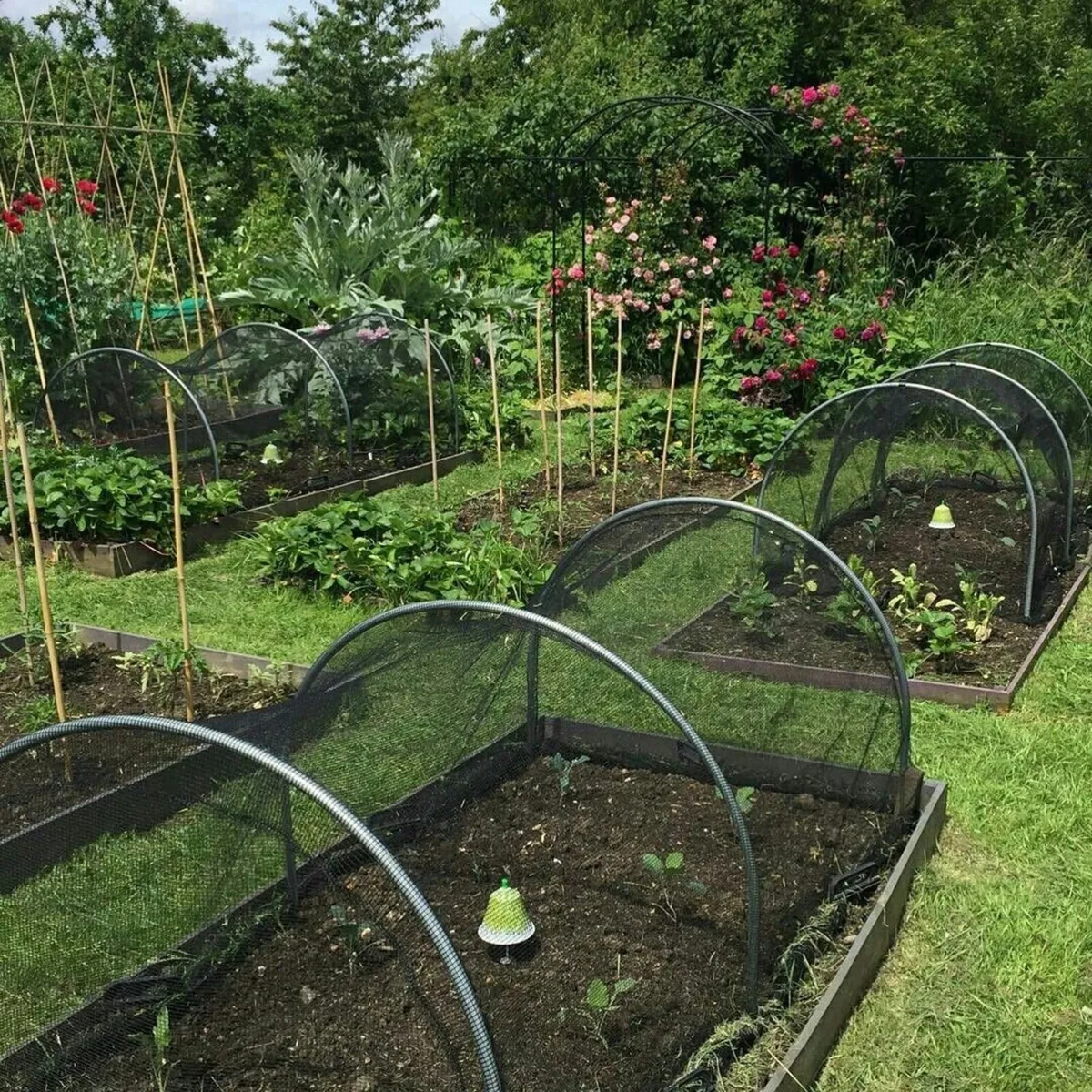 Anti Bird netting - Image 3