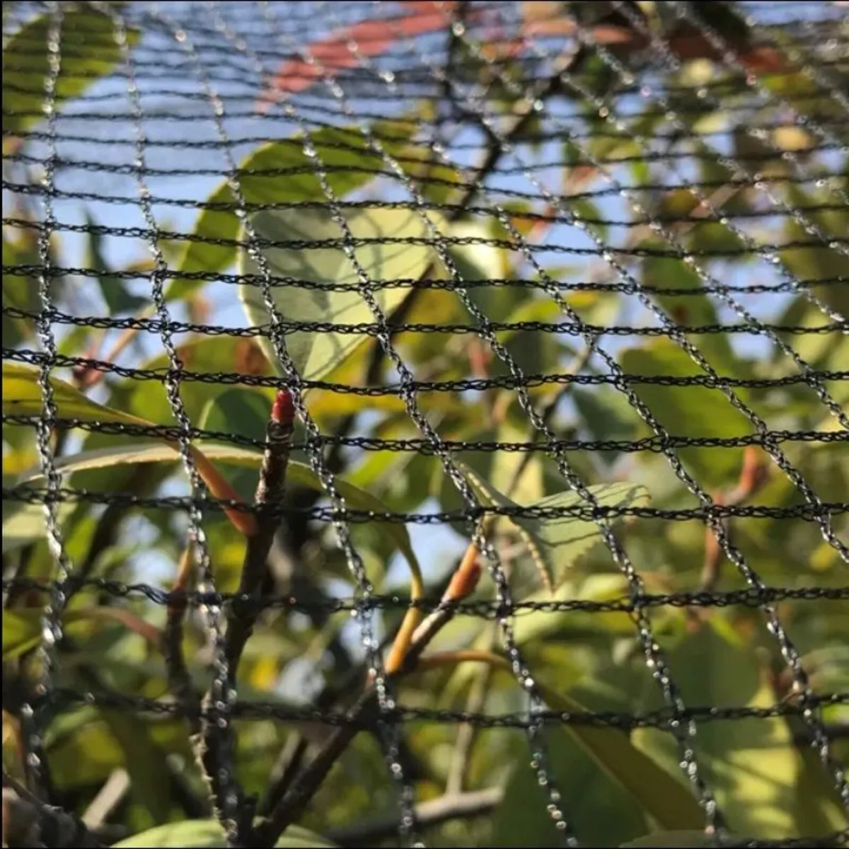 Anti Bird netting - Image 4
