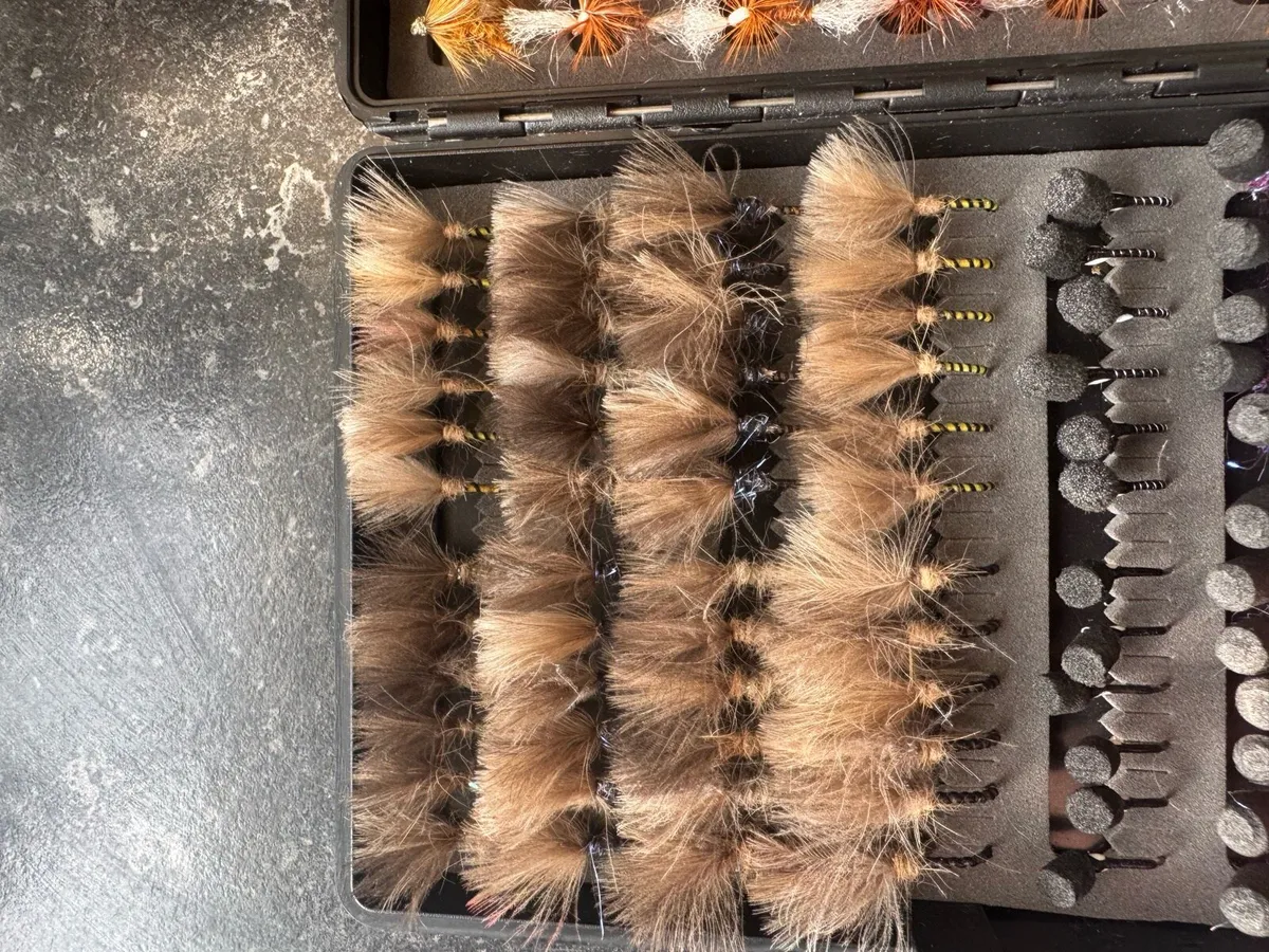 Dry flies - Image 2