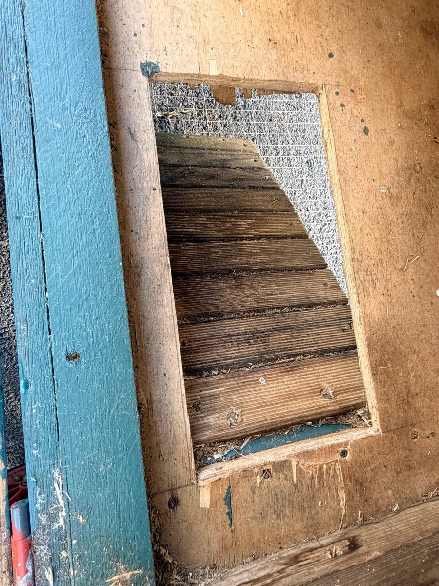 Rabbit hutch - Image 4