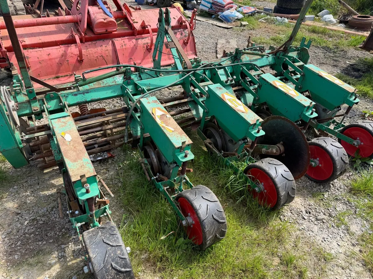 Armer salmon - Image 1