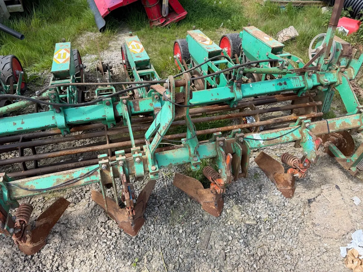 Armer salmon - Image 2