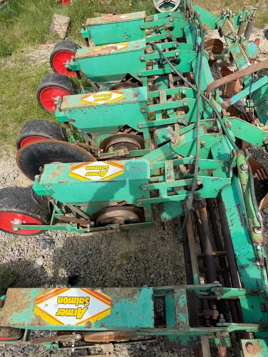 Armer salmon - Image 3