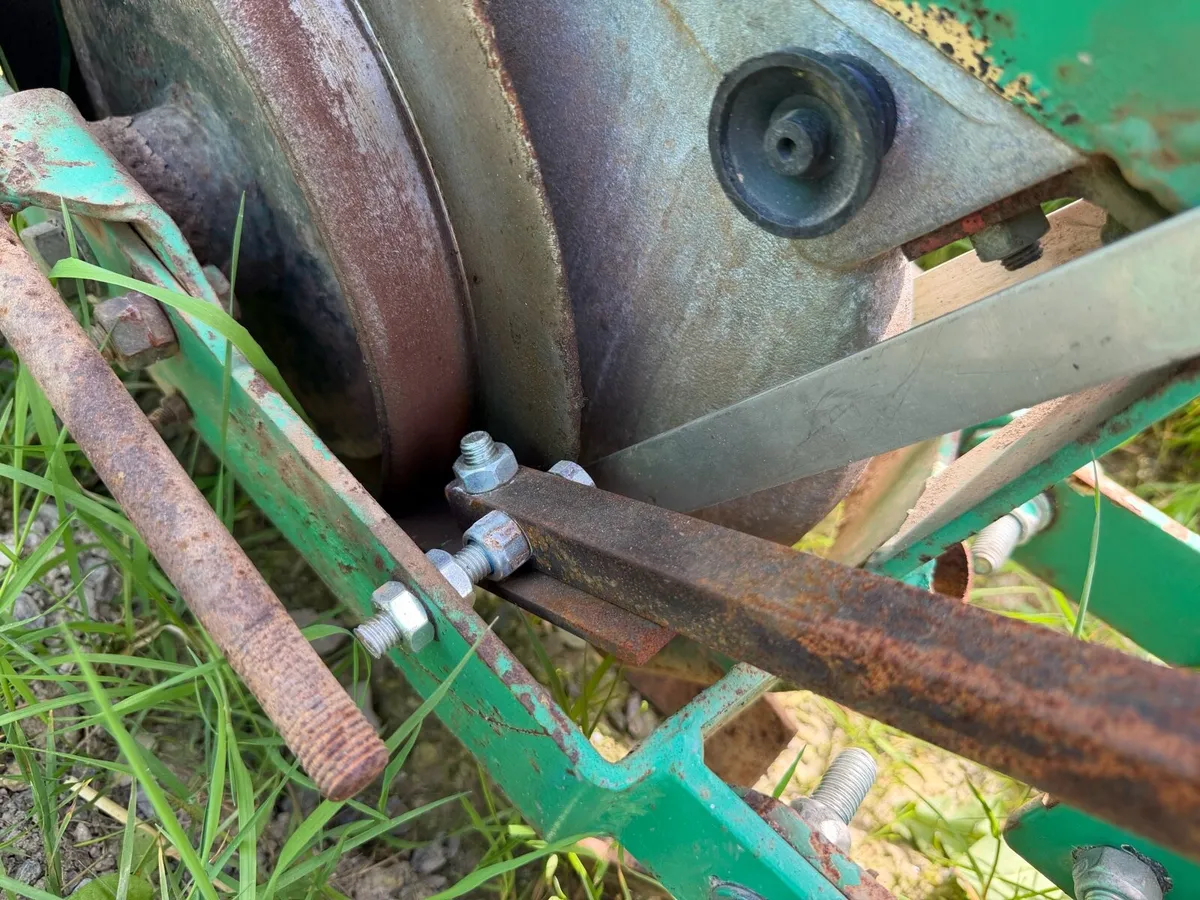 Armer salmon - Image 4