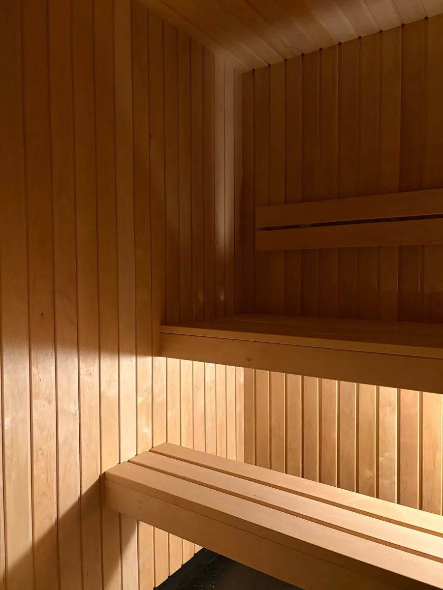 Premium Sauna for sale - Image 4