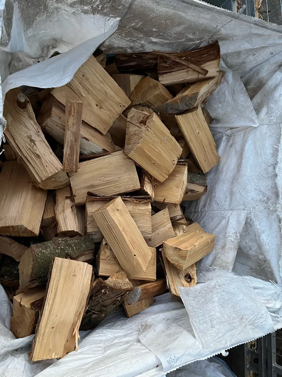 Fire wood - Image 2