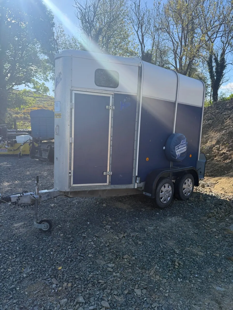 Ifor Williams HB 405 single Horsebox - Image 2