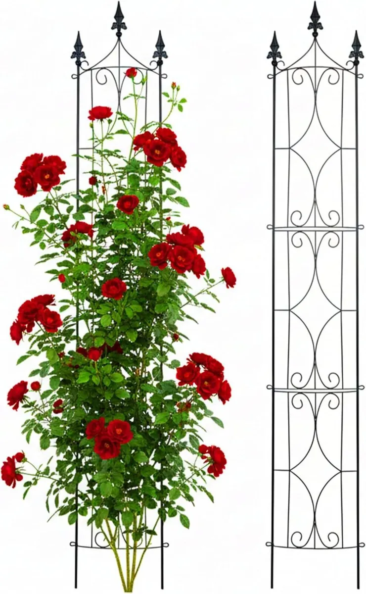 Trellis set of 2 H x W D 183 31 20 cm steel - Image 1
