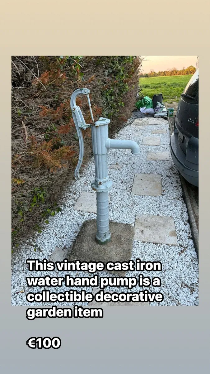 Cast iron water pump - Image 1