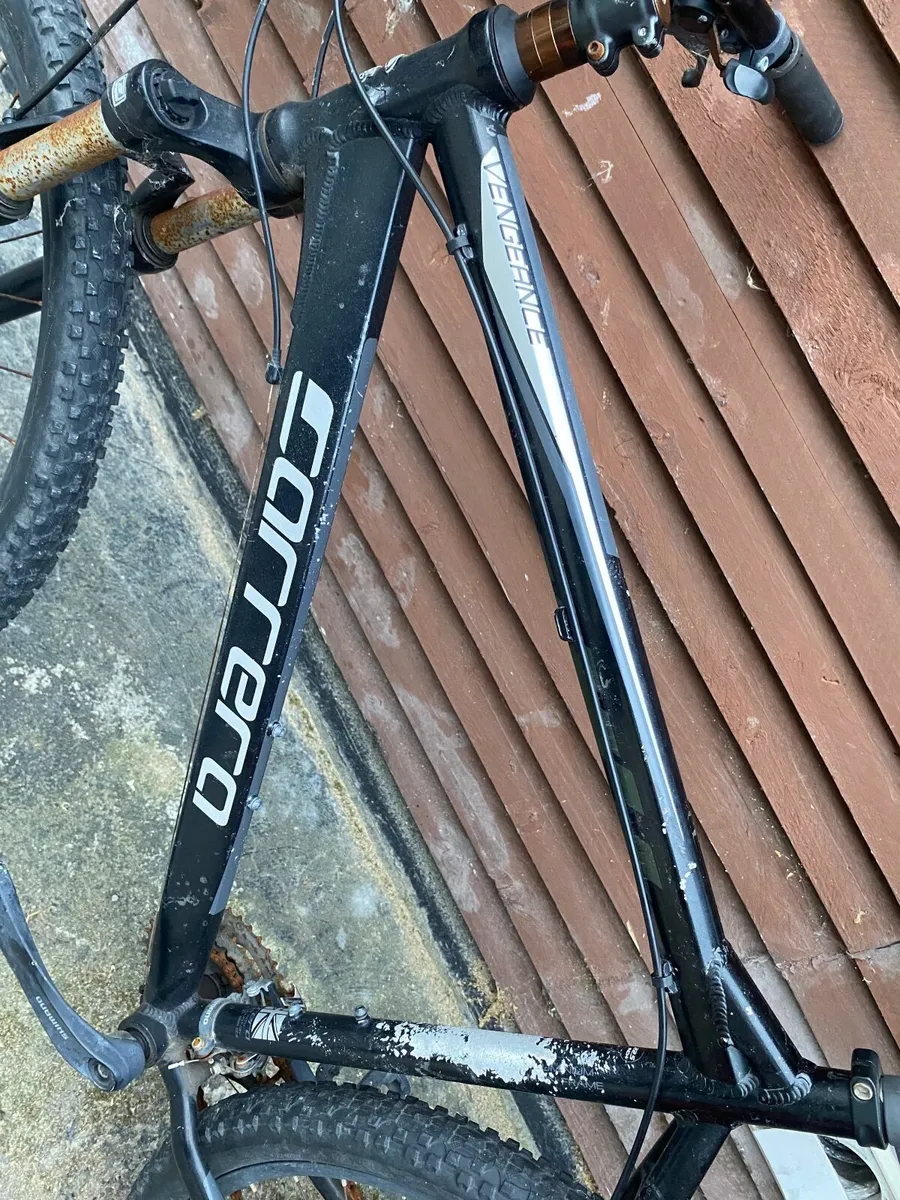 Carrera vengeance - Image 3