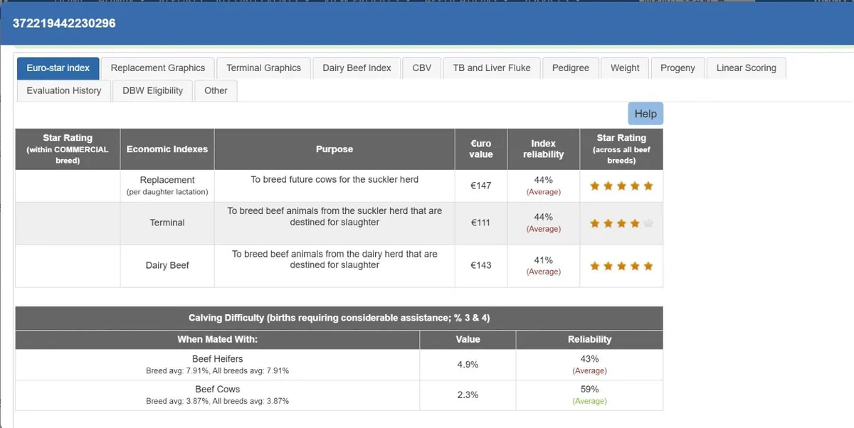 Charolais Bull for breeding - Image 3