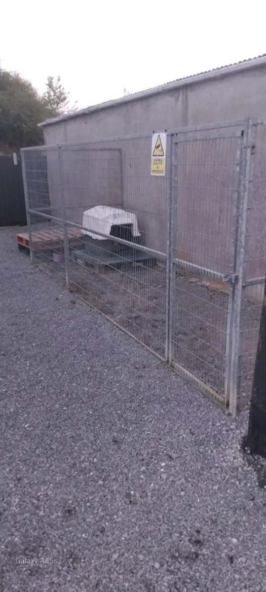 Dog Run - Image 1