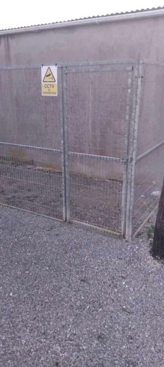 Dog Run - Image 2