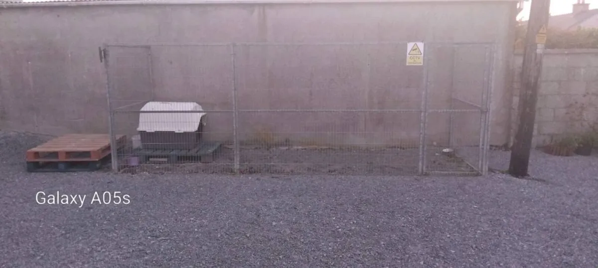 Dog Run - Image 4