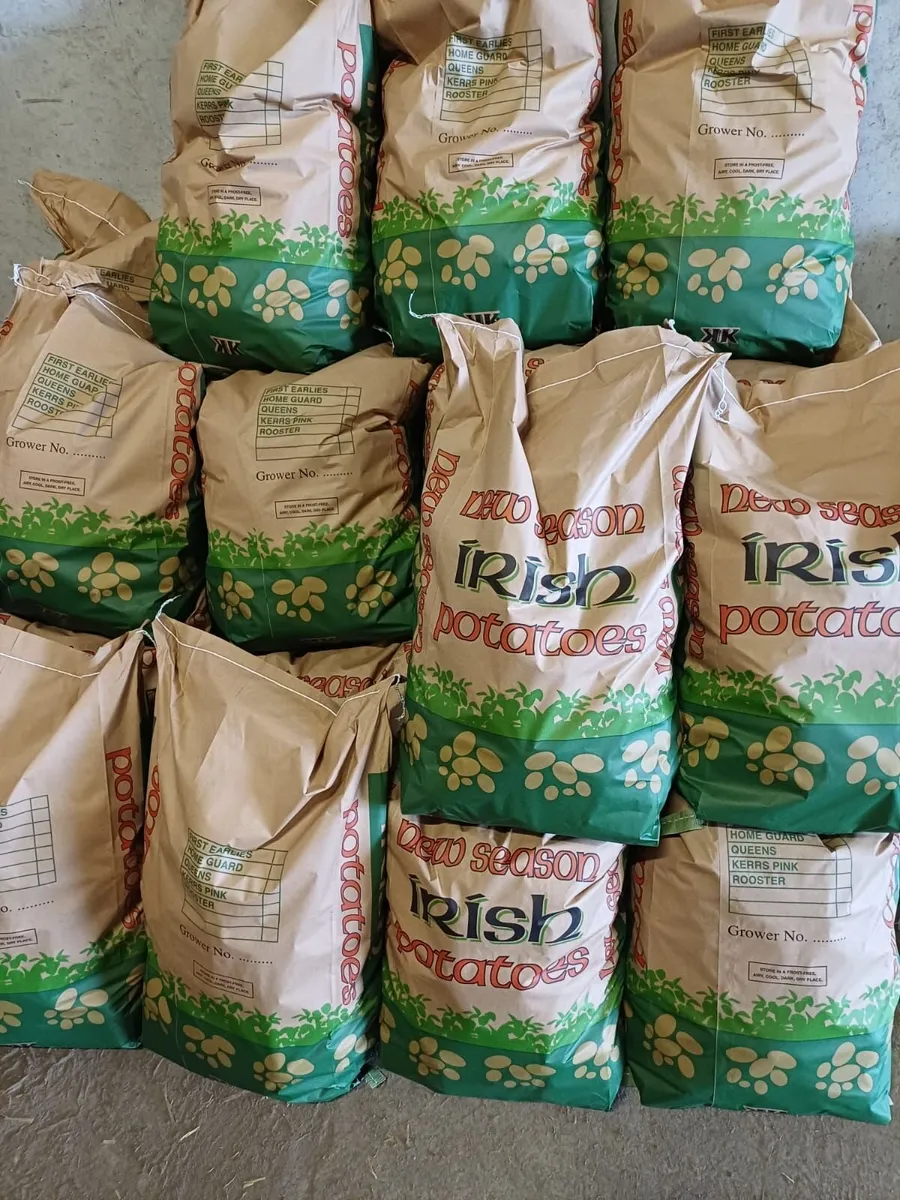 Golden Wonder Potatoes - Image 3