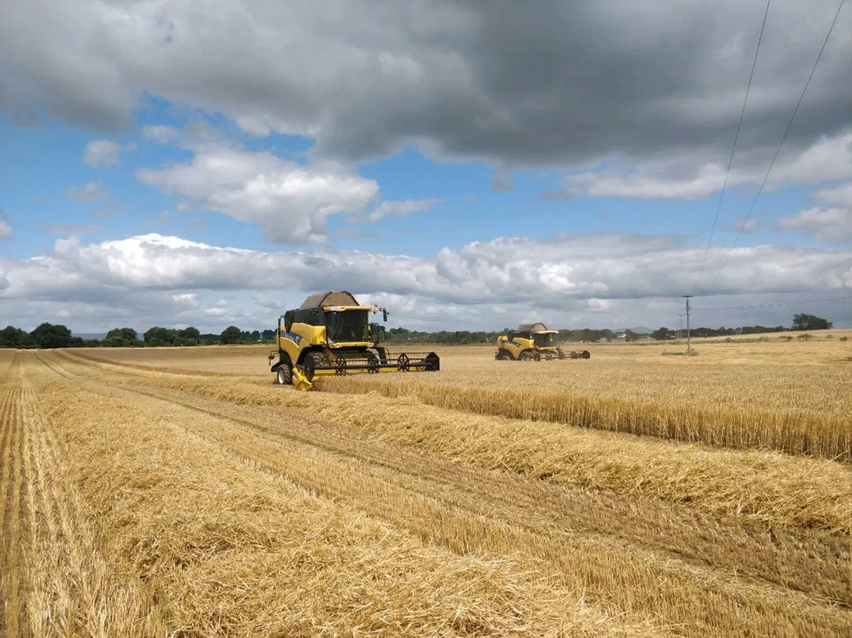 Tractor driver - Image 3