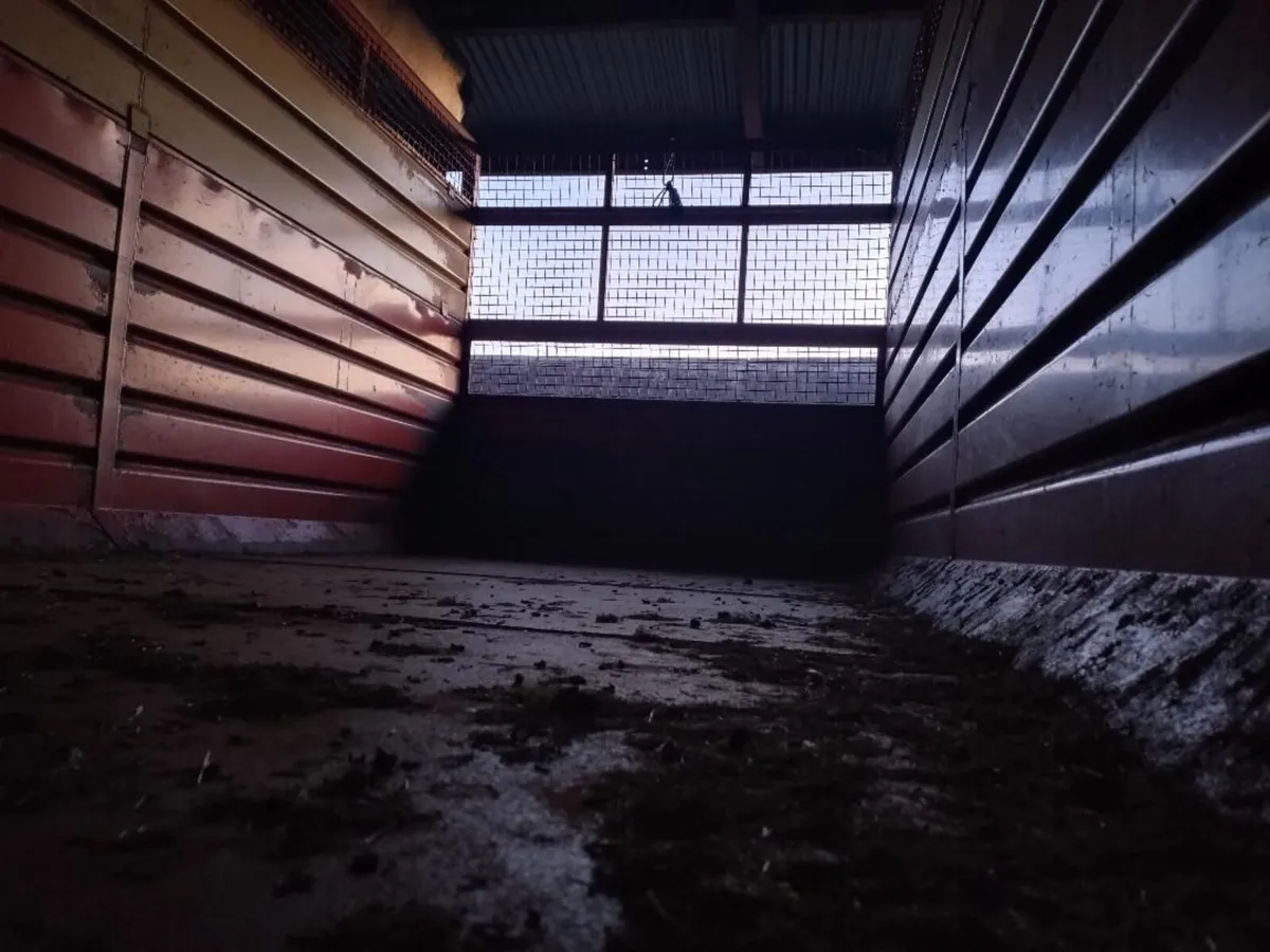 Kane Silage Trailer - Image 4