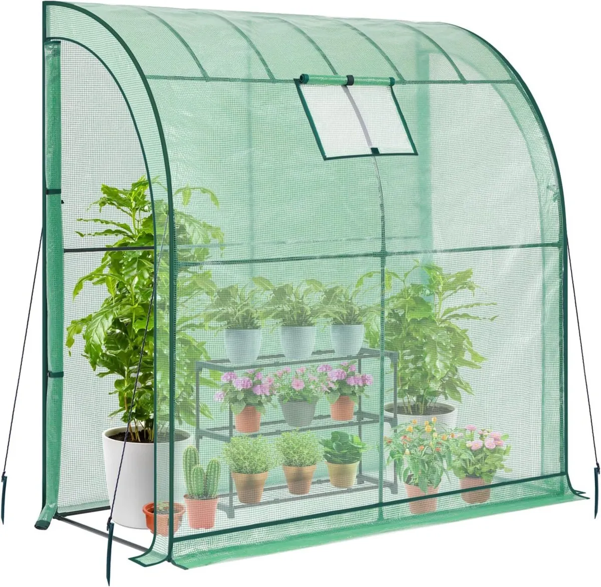 Lean to Greenhouse with Free Shelving unit - Image 1