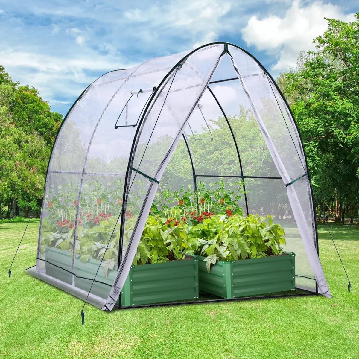 Polytunnel Greenhouse Outdoor: 180x180x200 cm - Image 1
