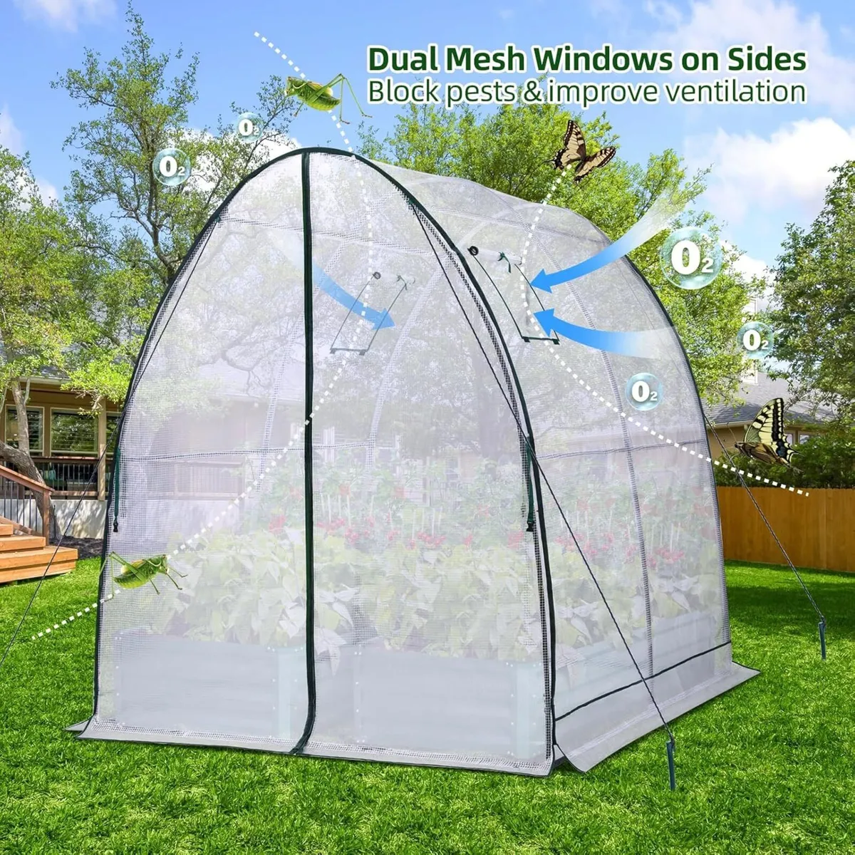 Polytunnel Greenhouse Outdoor: 180x180x200 cm - Image 4