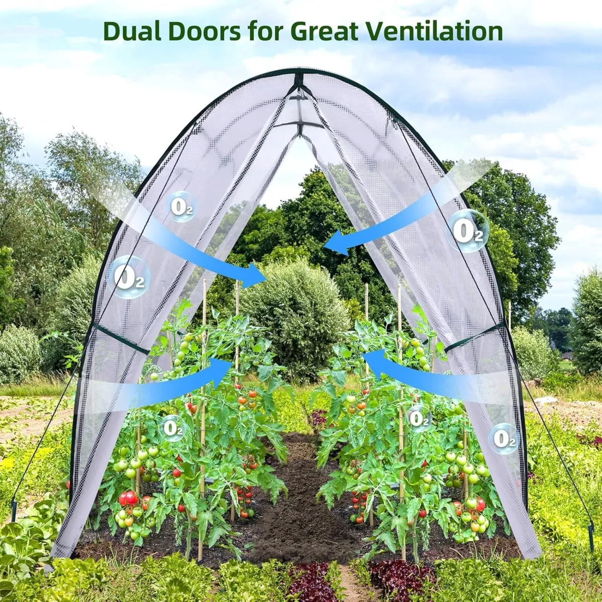 Polytunnel Greenhouse Outdoor: 180x180x200 cm - Image 3