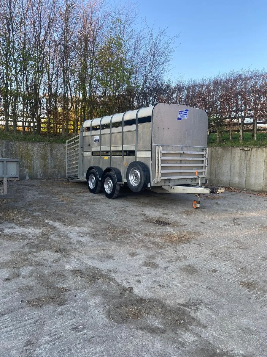 Iforwilliams 12X5'10 cattle box with sheep decks - Image 1