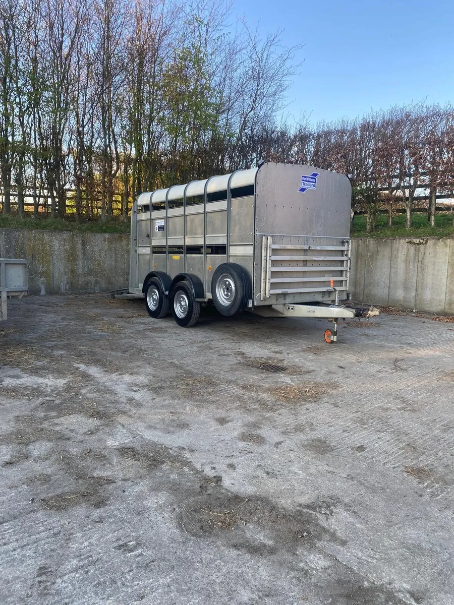 Iforwilliams 12X5'10 cattle box with sheep decks - Image 2