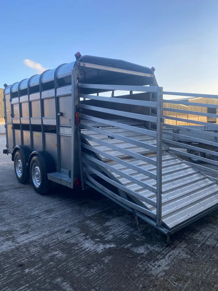 Iforwilliams 12X5'10 cattle box with sheep decks - Image 3