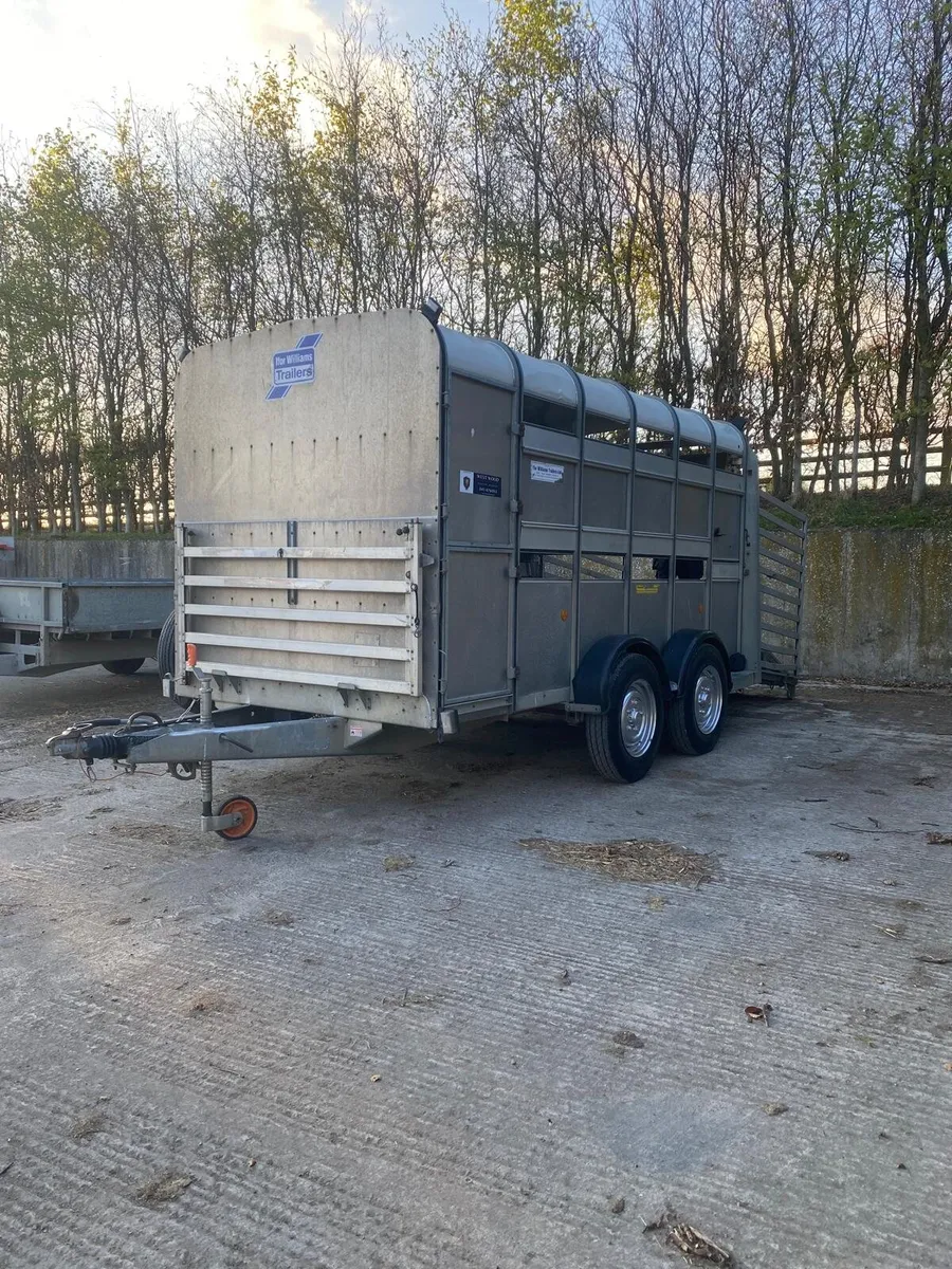 Iforwilliams 12X5'10 cattle box with sheep decks - Image 4