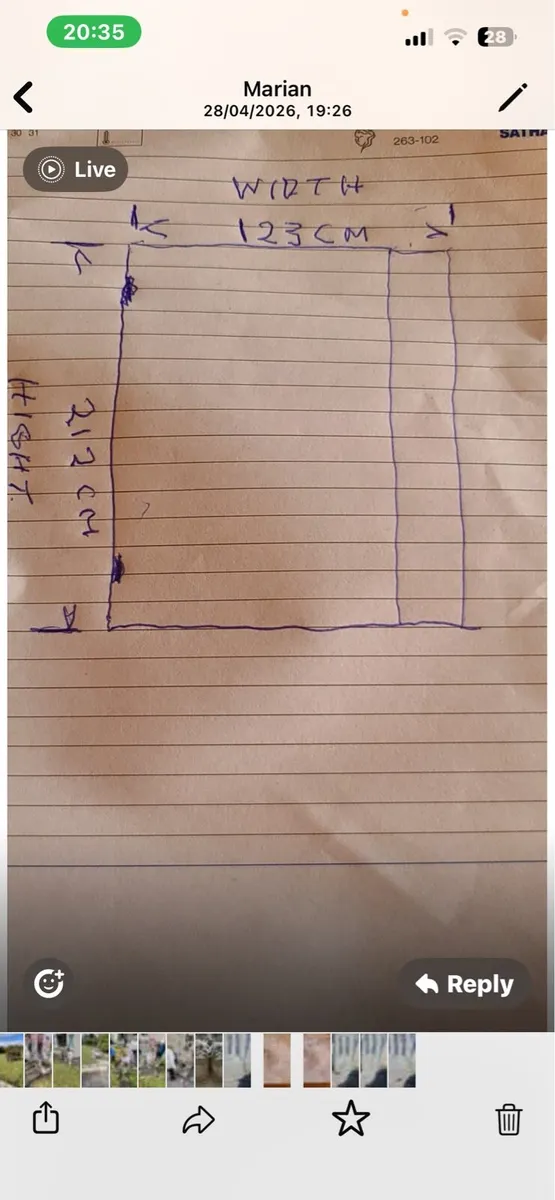 Door with side glass - Image 1