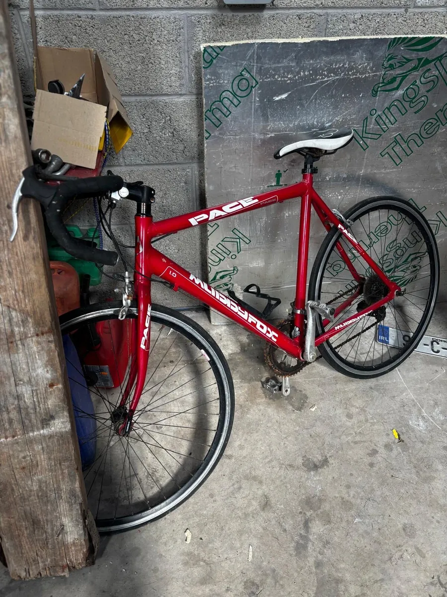 Pace Bike for Sale - Image 4