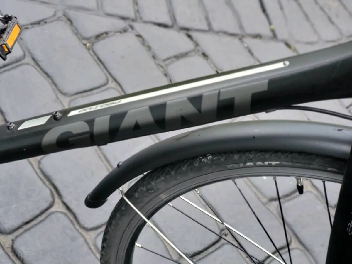 Giant escape wants servicing read add - Image 2