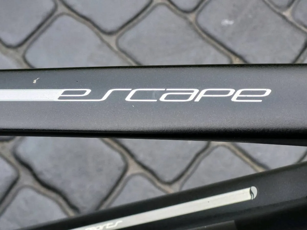 Giant escape wants servicing read add - Image 3